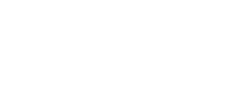 Vision